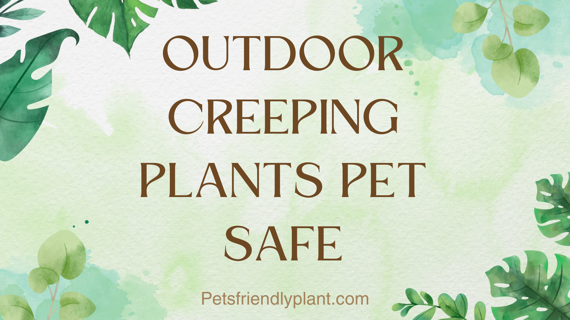 Outdoor creeping plants pet safe