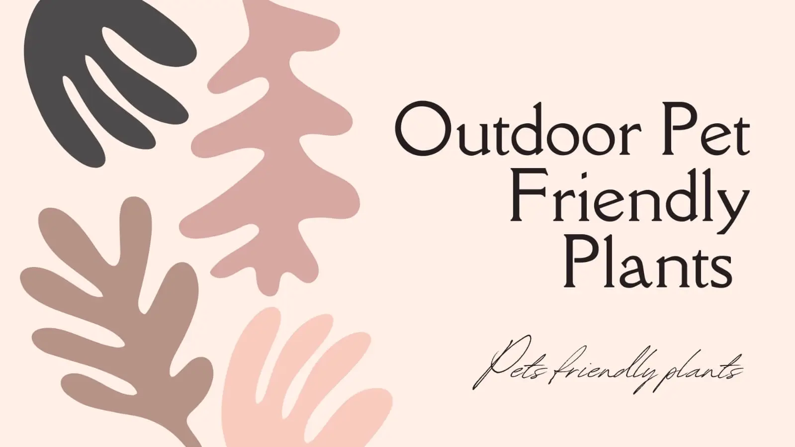 Outdoor pet friendly plants